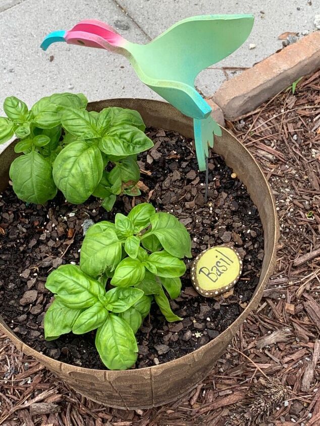 something cute for your herb garden, Basil
