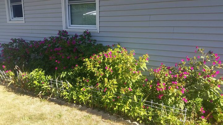 q need ideas to redo my flower beds