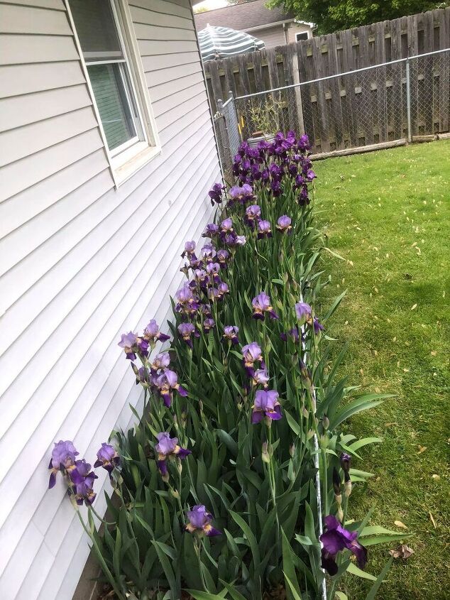 q need ideas to redo my flower beds