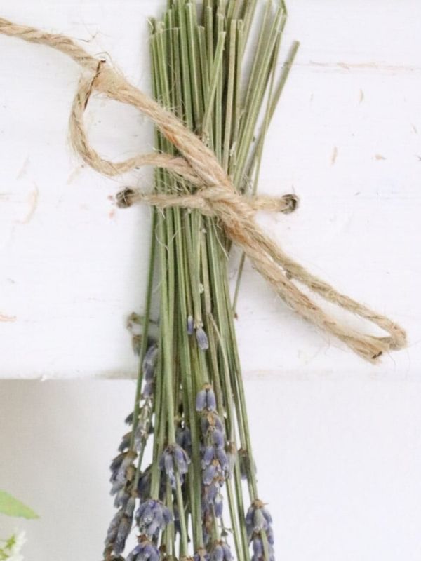 diy dried flower wall hanging