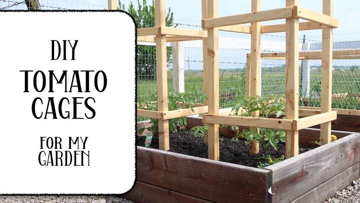 jaulas de tomate de bricolaje para el jardin