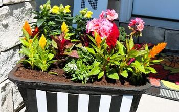 Planter Box Made From a Cooler
