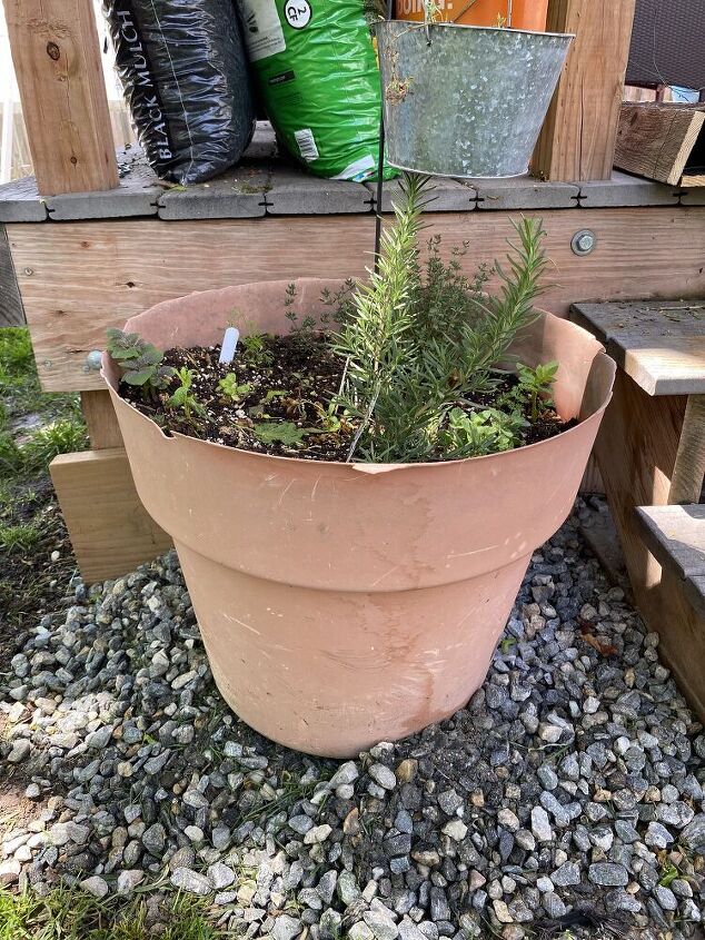 faux wine barrel planter from repurposed fence boards, The offending tired old pot