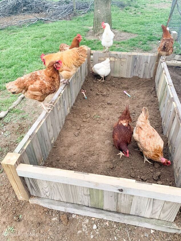 plantador elevado feito de painis de cerca de piquete antigos