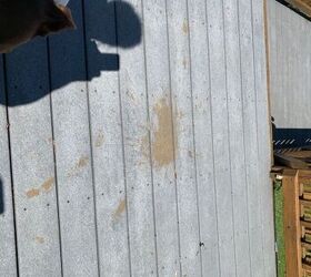 How can I clean my trex deck, I got stain on it.