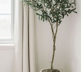 diy faux olive tree