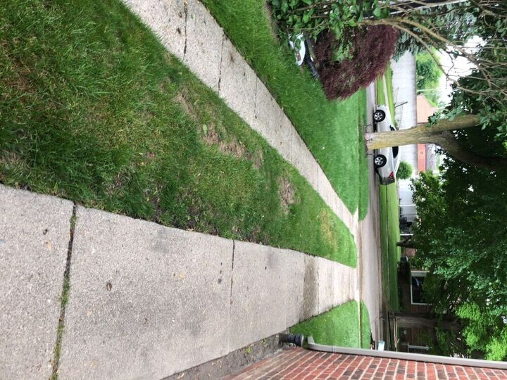 q any ideals for old driveway with grass going up the middle