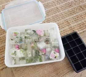 pretty botanical ice cubes