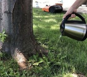 Try this trick to get the lushest lawn on your block this summer