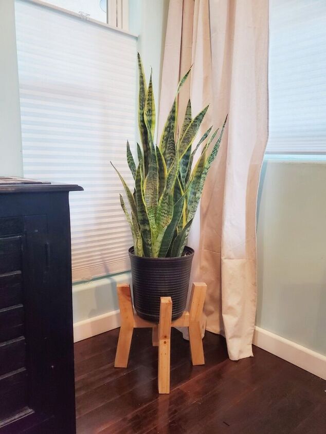 sleek wooden plant stand