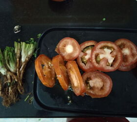 Do Not Throw Away Your Over Ripe Tomatoes Hometalk