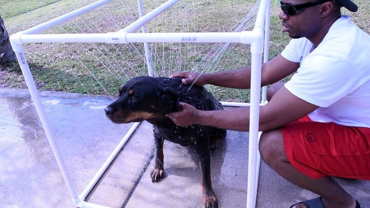 11 maneras de mimar a tus mascotas este verano, Ducha de PVC para perros al aire libre f cil de hacer