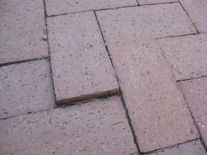 q roots from external trees damaging my patio