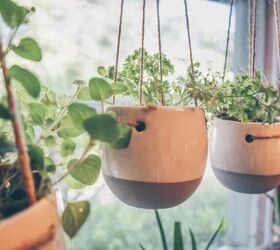 Indoor Herb Gardening for Beginners