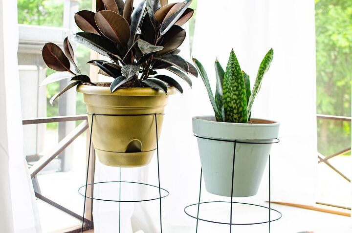 tomato cage plant stand