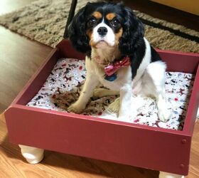 do it yourself pet beds