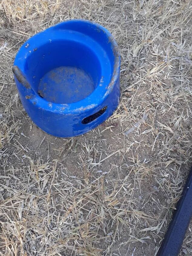 q can you use disused baby potty as a dog food plate