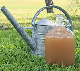 How to Build a Compost Tea Brewer