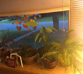 Treat/deal with unfinished wood in bay window with water stains? Hometalk