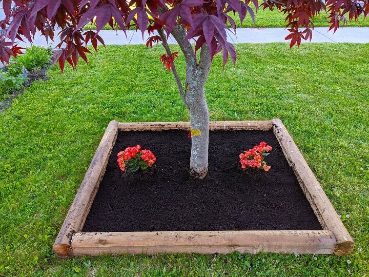 tree base flower box
