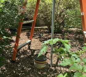 how to add solar string lights to the yard, Use ladders to temporarily set poles