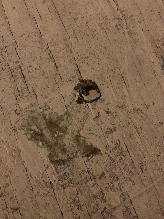 q half inch round holes in subfloor pest