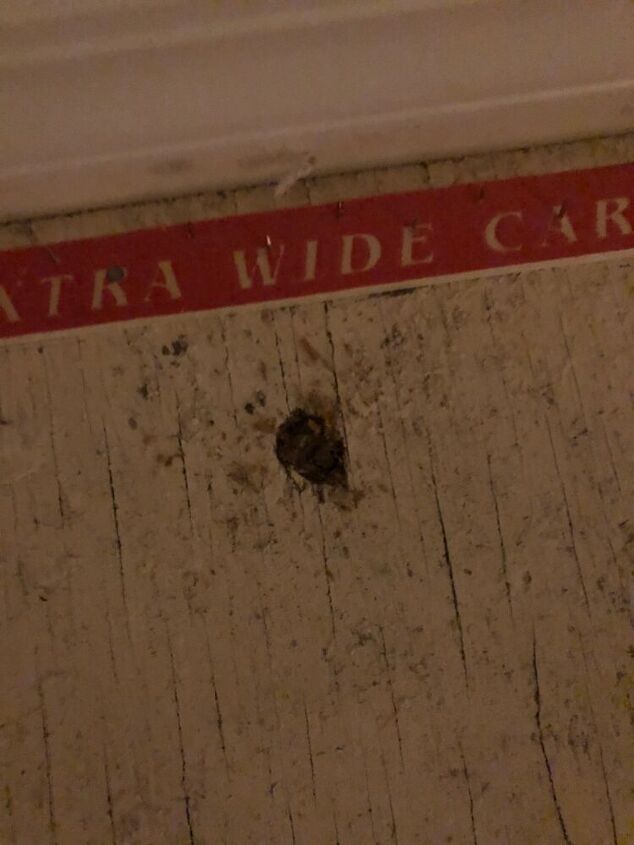 q half inch round holes in subfloor pest
