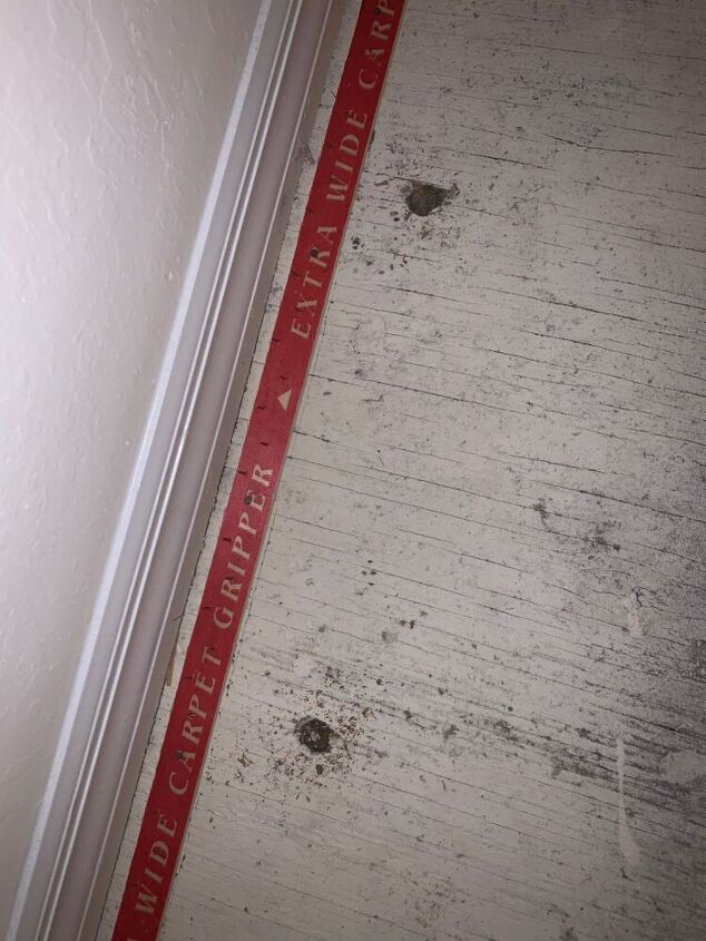 q half inch round holes in subfloor pest