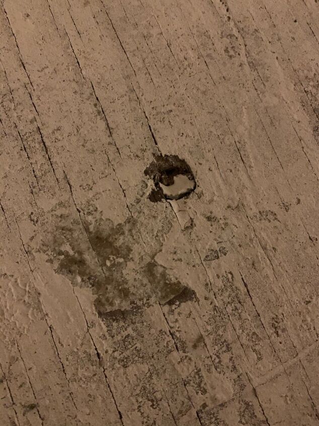 almost perfectly round holes in subfloor any idea what pest