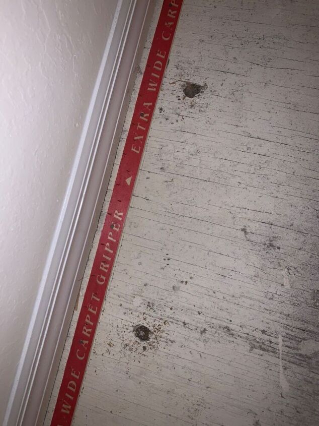 almost perfectly round holes in subfloor any idea what pest