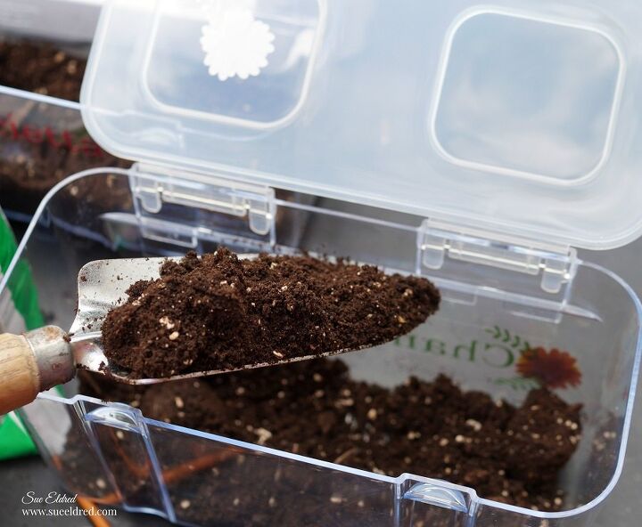 mini greenhouse seed starter