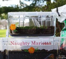mini greenhouse seed starter