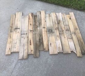 plant propagation station from pallet boards