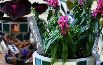 Create Mosaic Flower Pots