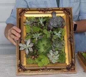 How to Make a Succulent Frame DIY Hometalk