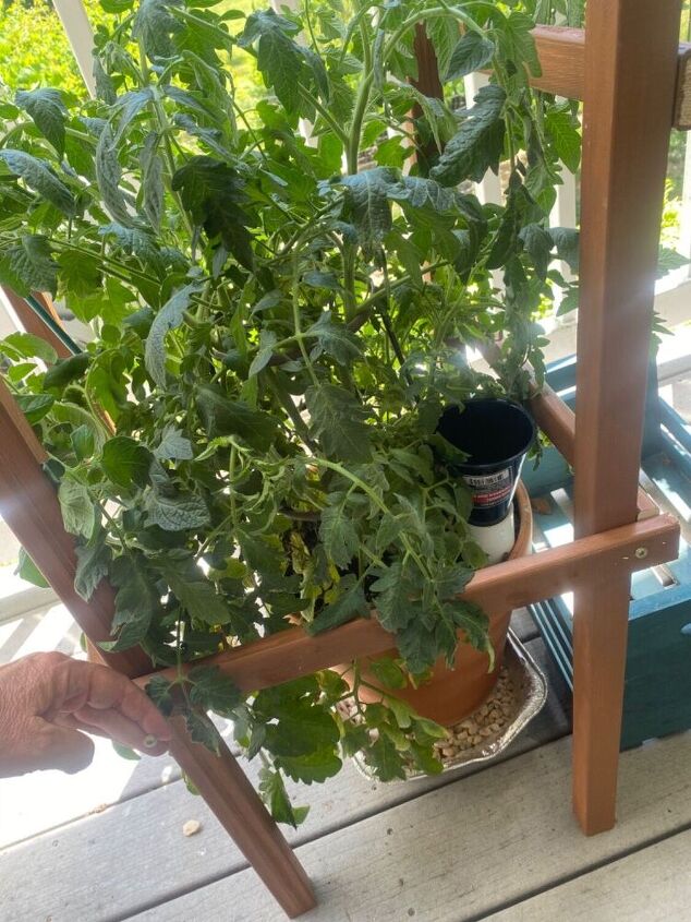 como fazer gaiolas para tomates