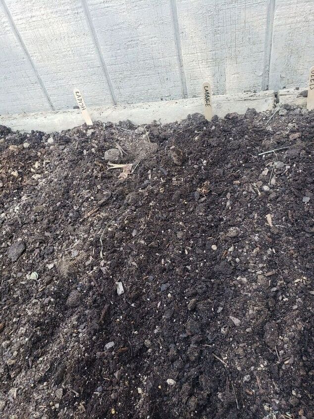 cmo convert el espacio bajo las escaleras de mi terraza en un jardn a prueba de