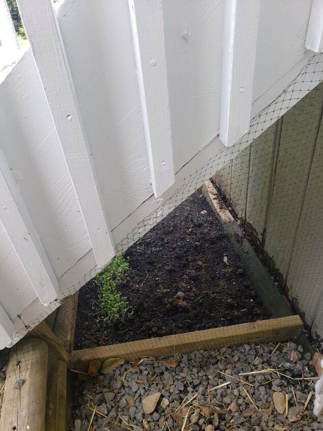 how i turned the space under my deck stairs into a deer proof garden