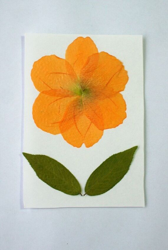 how to create your own pressed flower art