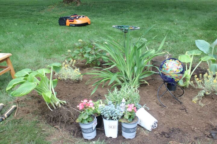 How To Start A Flower Garden | Hometalk