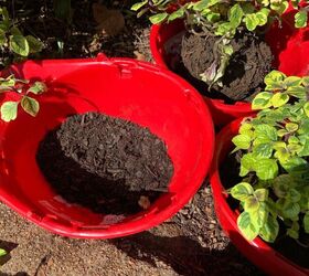flower pots from hard hats, Bottom layer before adding plants soil
