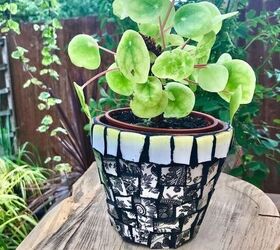 how to mosaic your terracotta plant pots with broken china, Mosaic Crockery plant pot