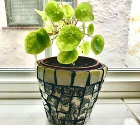 how to mosaic your terracotta plant pots with broken china, Mosaic crockery plant pot