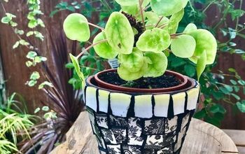 How to Mosaic Your Terracotta Plant Pots With Broken China