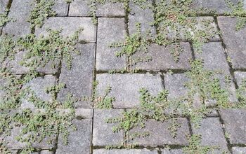 Cómo eliminar por fin las malas hierbas de tu patio de ladrillos