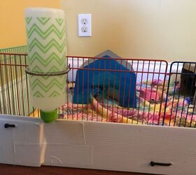 Easy guinea best sale pig cage