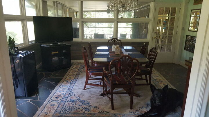 build a wall in dining room, Atticus photo bombing