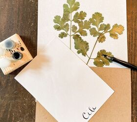 how to press herbs for botanical art