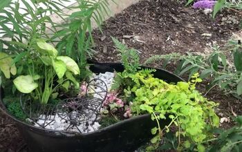 Invite the Butterflies to Your Garden With This DIY Butterfly Garden