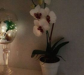 illuminate your vases